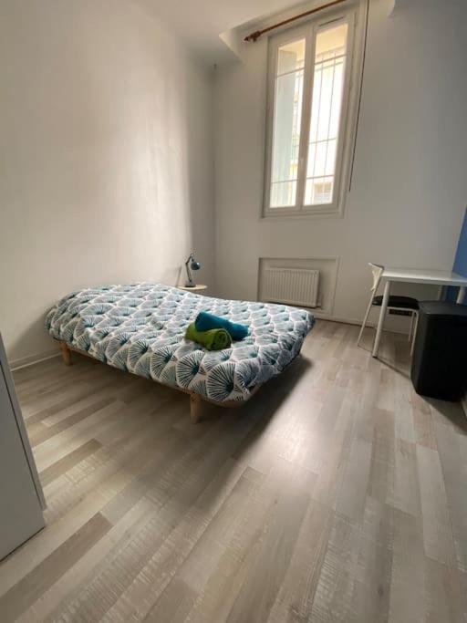 Emile Zola - Grand Appartement Proche Gare Et Polygone - Parking Gratuit- Béziers Kültér fotó